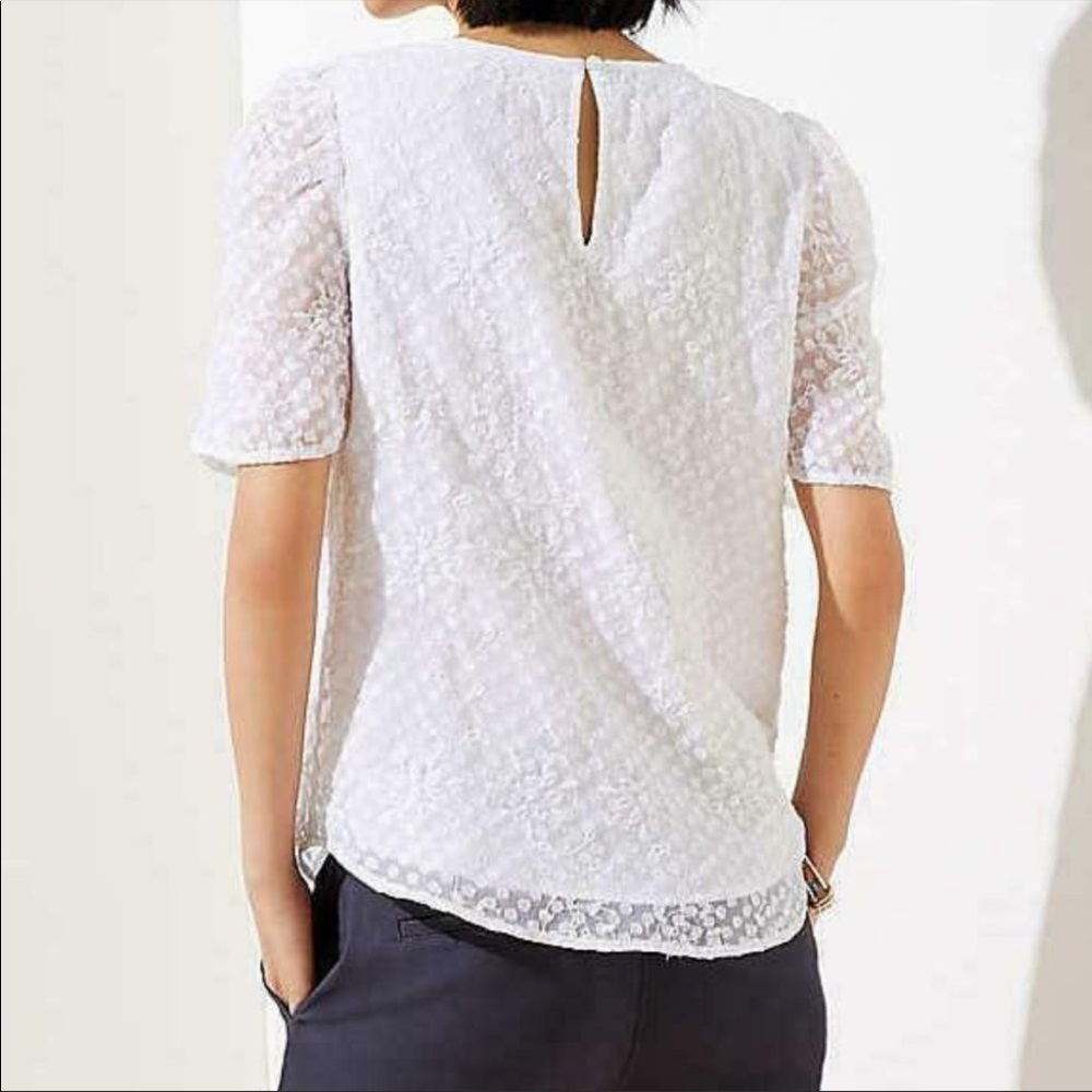 NWOT Super cute Loft blouse with puff sleeves! - Picture 3 of 10